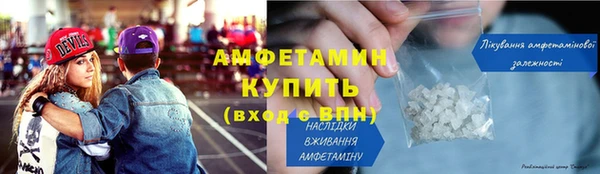 индика Богородицк